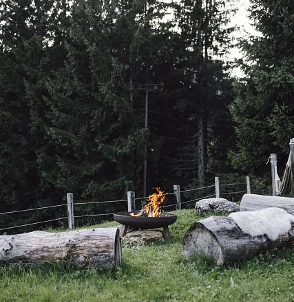 Alm Chalet Grittlmühle Außenansicht