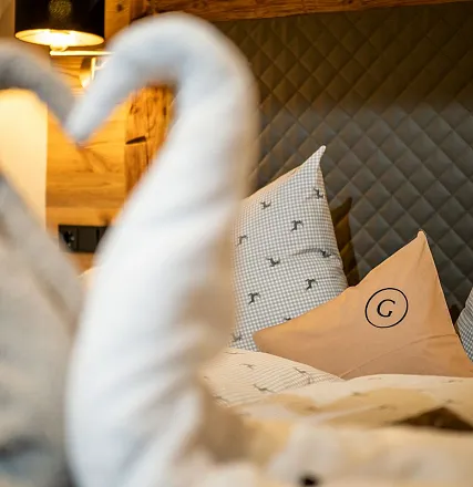 grittlmuehle-brixentalerstrasse-17-brixen-07-2023-appartement-gaisberg-schlafzimmer-logo