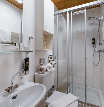 landhaus-schermer-grittlmuehle-brixentalerstrasse-17-brixen-06-2020-ferienwohnung-alpenrose-badezimmer-2